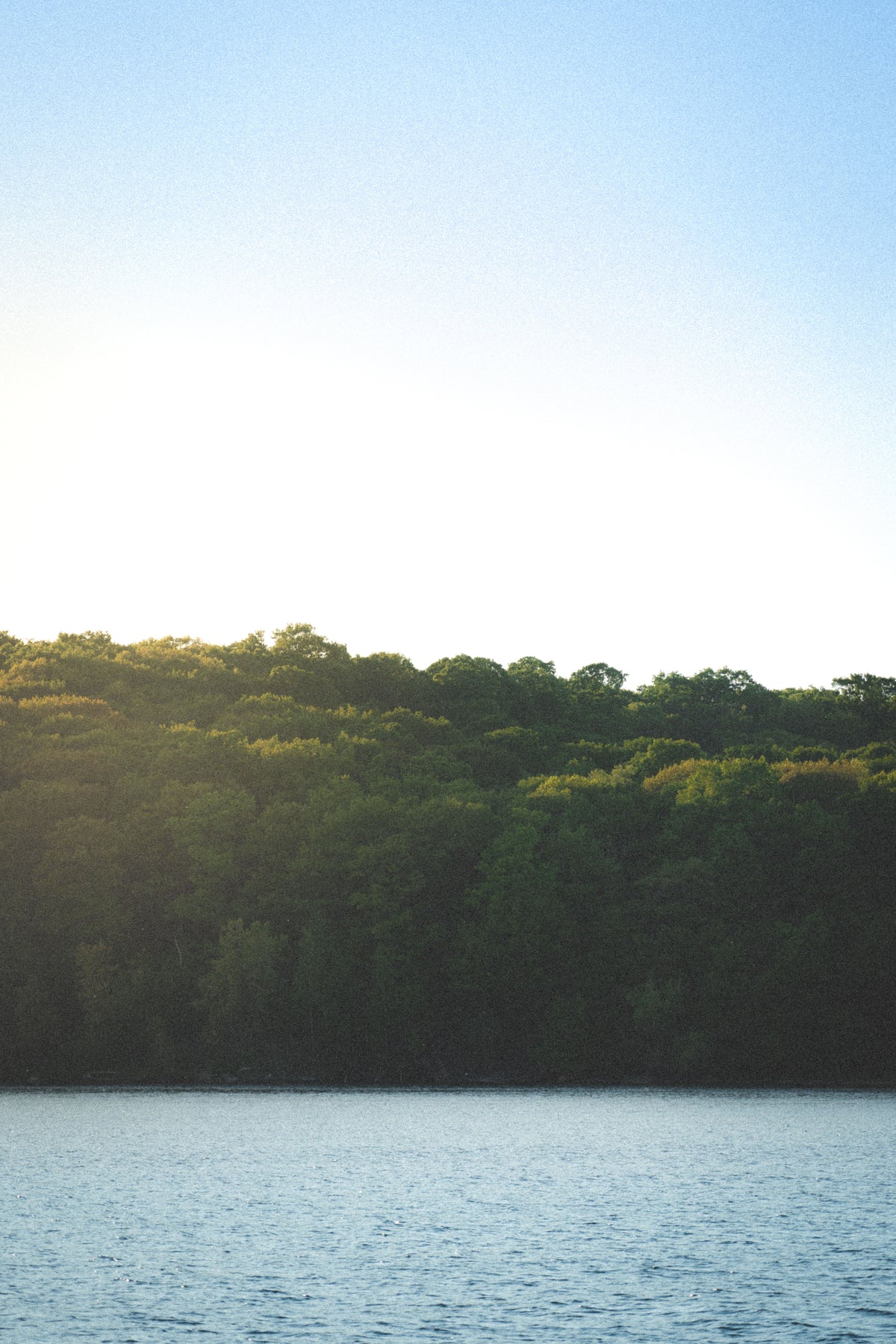 Northern Michigan lake and tree line