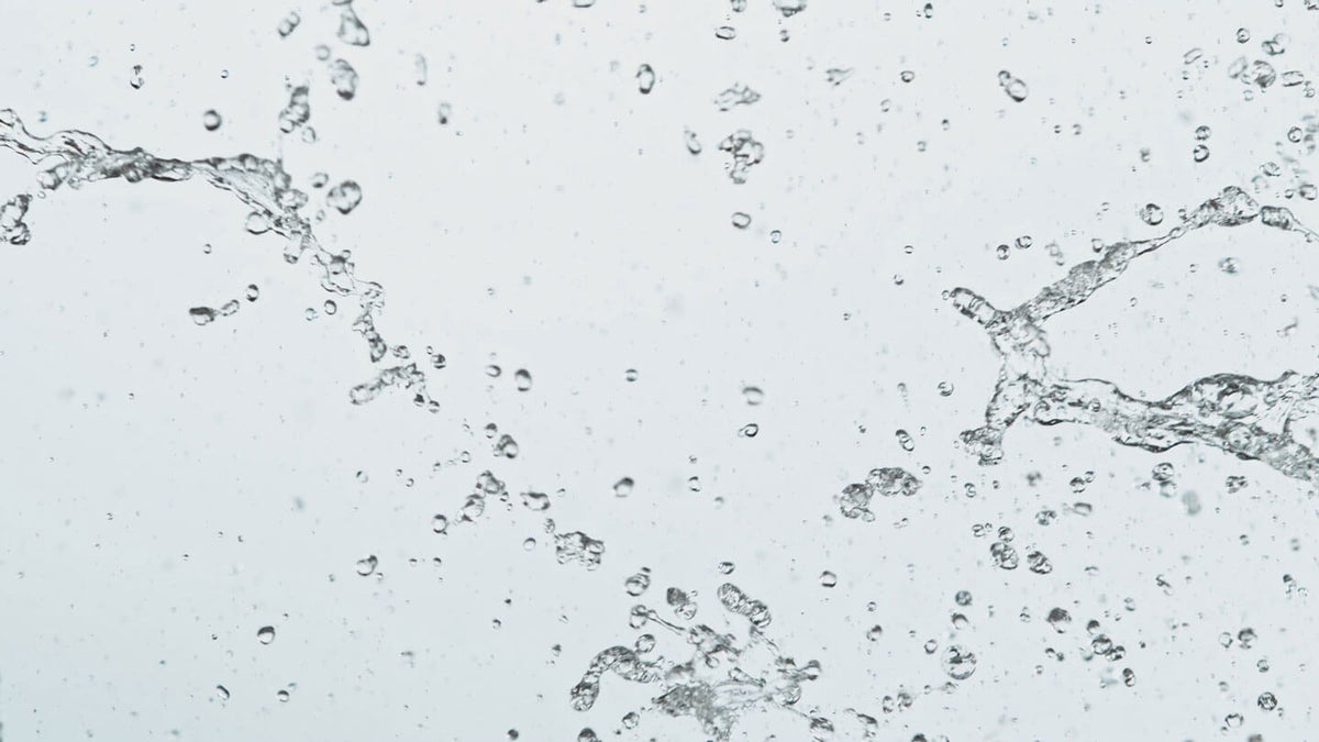 Close-up of water droplets on a white background